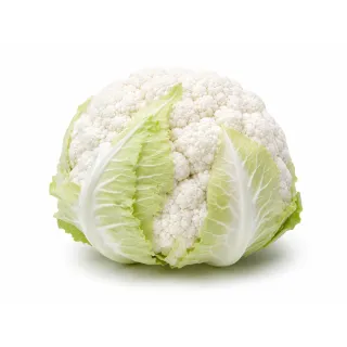 Compra CONOPIDA VEDIS F1 Vilsem (2.500 semințe). en la tienda online Fito Agrícola