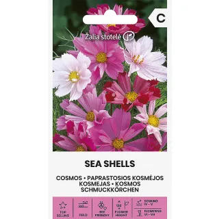 Compra COSMOS SEA SHELLS (1 gr. - Aproximativ 135 de semințe). en la tienda online Fito Agrícola