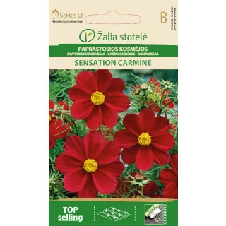 Compra COSMOS SENSATION CARMIN (1 gr. - Aproximativ 135 de semințe). en la tienda online Fito Agrícola