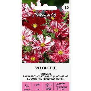 Compra COSMOS VELOUETTE (0,2 gr. - Aproximativ 28 de Semințe) en la tienda online Fito Agrícola