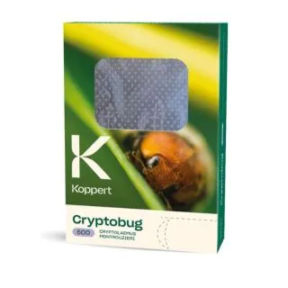 Compra CRYPTOBUG 500 (Cutie cu 500 de adulți) en la tienda online Fito Agrícola