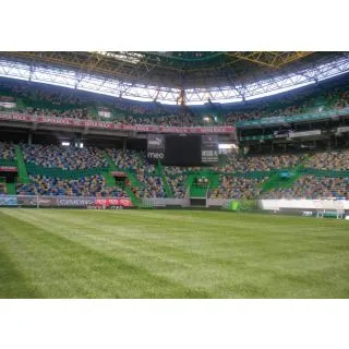 Compra CYNODON DACTYLON MEDPRO SLT Pildorado (1 Kgr.). en la tienda online Fito Agrícola