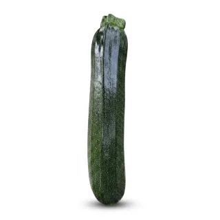 Compra CALABACIN CZI-10415 F-1 (1.000 Semillas). en la tienda online Fito Agrícola