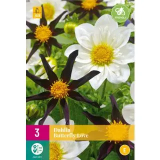 Compra DALIA BUTTERFLY LOVE XXL en la tienda online Fito Agrícola