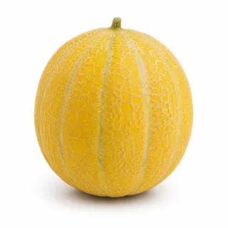 Compra MELÓN DELAROSA F1 No Tratado (1.000 Semillas) en la tienda online Fito Agrícola