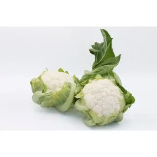 Compra COLIFLOR DENVER F1 (2.500 Semillas) en la tienda online Fito Agrícola