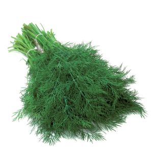 Compra ENELDO THALIA (50 gr.) en la tienda online Fito Agrícola