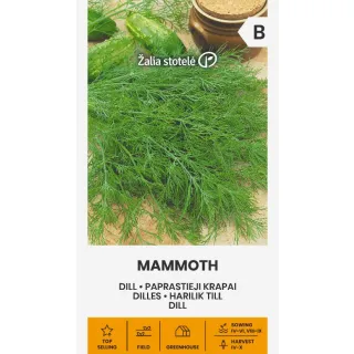 Compra ENELDO MAMMOTH (5 gr. - Cerca de 2950 Semillas). en la tienda online Fito Agrícola