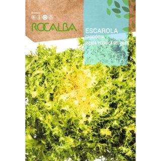 Compra ESCAROLA RIZADA PERRUCA DEL PRAT (6 gr.). en la tienda online Fito Agrícola