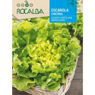 Compra ANDIVA UIAȘĂ HORTELANA (100 gr.). en la tienda online Fito Agrícola