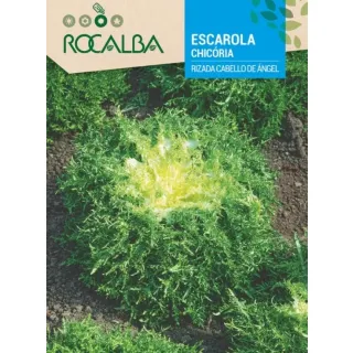 Compra ANDIVĂ RIZATĂ CU FIR DE ÎNGER (100 gr.). en la tienda online Fito Agrícola