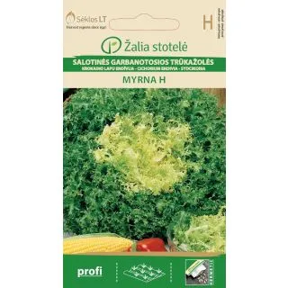 Compra ANDIVE RIZATĂ MYRNA F1 Pildorată (20 Semințe) en la tienda online Fito Agrícola