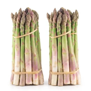 Compra ESPÁRRAGO UC 157 F1 (25.000 Semillas). en la tienda online Fito Agrícola