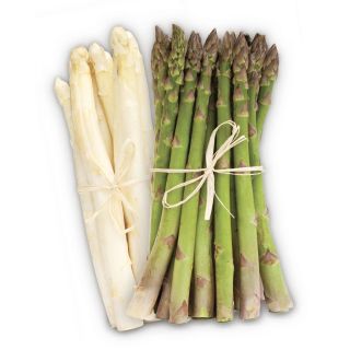 Compra ESPÁRRAGO VITTORIO F1 (25.000 Semillas). en la tienda online Fito Agrícola