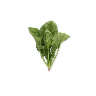 Compra ESPINACA BARRAMUNDI RZ F1 (1.000.000 Semillas) en la tienda online Fito Agrícola