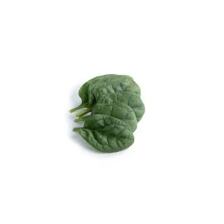 Compra ESPINACA BONNETHEAD RZ (1.000.000 Semillas) en la tienda online Fito Agrícola