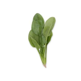 Compra ESPINACA GREBE RZ F1 Precisión (1.000.000 Semillas). en la tienda online Fito Agrícola