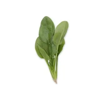 Compra ESPINACA GREBE RZ F1 Precisión (25.000 Semillas). en la tienda online Fito Agrícola