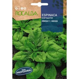 Compra ESPINACA HUDSON F-1 BABY LEAF (500 gr.). en la tienda online Fito Agrícola