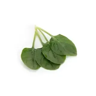Compra ESPINACA PRONGHORN RZ F1 (1.000.000 Semillas). en la tienda online Fito Agrícola