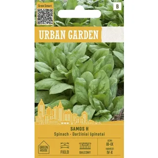 Compra ESPINACA SAMOS F1 (1,5 gr. - Cerca de 120 Semillas). en la tienda online Fito Agrícola