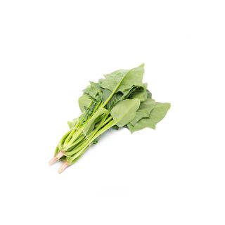 Compra ESPINACA SHRIKE RZ F1 (1.000.000 Semillas) en la tienda online Fito Agrícola