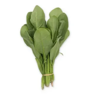 Compra ESPINACA SKIPJACK RZ F1 (1.000.000 Semillas). en la tienda online Fito Agrícola