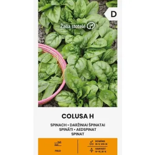 Compra ESPINACA COLUSA F1 (5 gr.) en la tienda online Fito Agrícola