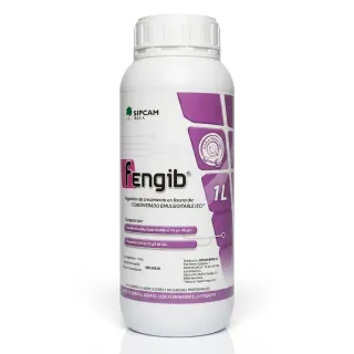 Compra FENGIB (1 l.) en la tienda online Fito Agrícola