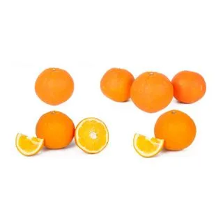 Compra NARANJO NAVEL FUKUMOTO - 17 en la tienda online Fito Agrícola