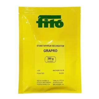 Compra STENOTAPHRUM SECUNDATUM GRAPRO (200 gr.). en la tienda online Fito Agrícola