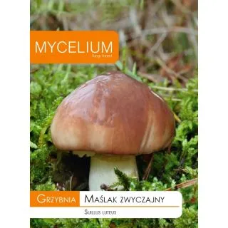 Compra MICELIO DE BOLETO COMÚN (Suillus luteus) (10 gr.). en la tienda online Fito Agrícola