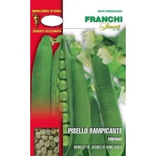 Compra GUISANTE TELEFONO (500 gr.) en la tienda online Fito Agrícola