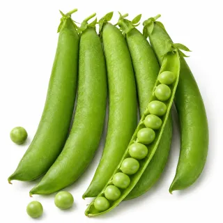 Compra GUISANTE LINCOLN (1 Kgr.). en la tienda online Fito Agrícola