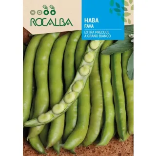 Compra BABĂ EXTRAPRECOCE CU BOABE ALBE (5 Kg). en la tienda online Fito Agrícola
