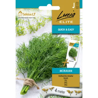 Compra ENELDO MORAVAN EN CINTA (4 Metros). en la tienda online Fito Agrícola