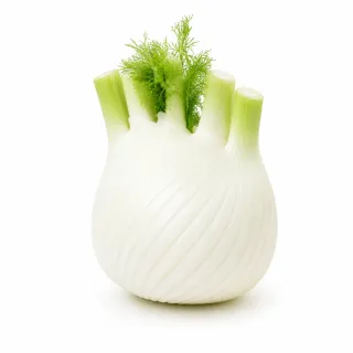 Compra HINOJO TIZIANO F1 Pregerminado No Tratado (25.000 Semillas). en la tienda online Fito Agrícola