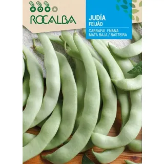 Compra JUDÍA GARRAFAL ENANA (1 Kgr.). en la tienda online Fito Agrícola