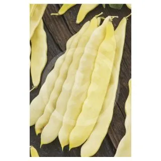 Compra JUDÍA CAPITANO (100 gr.). en la tienda online Fito Agrícola