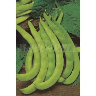 Compra JUDÍA GARRAFAL ORO Sel. Trofeo (100 gr.). en la tienda online Fito Agrícola