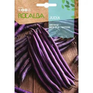Compra JUDÍA AMETHYST (1 kgr.) en la tienda online Fito Agrícola