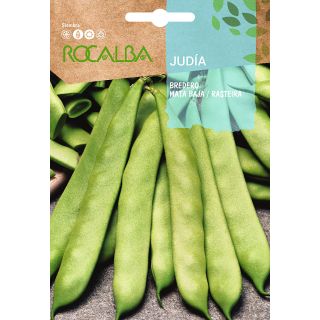 Compra JUDÍA BREDERO [1 Kgr.). en la tienda online Fito Agrícola