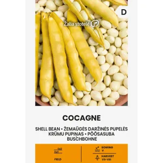 Compra JUDÍA COCAGNE (15 gr.). en la tienda online Fito Agrícola