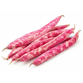 Compra JUDÍA LENGUA DE FUEGO 3 (1 Kgr.) en la tienda online Fito Agrícola