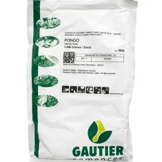 Compra JUDÍA PONGO Sin Tratar (1.000 Semillas). en la tienda online Fito Agrícola