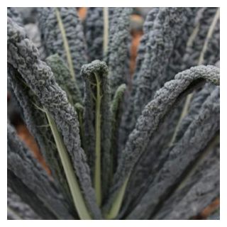 Compra COL KALE COBRA F1 (10.000 Semillas) en la tienda online Fito Agrícola