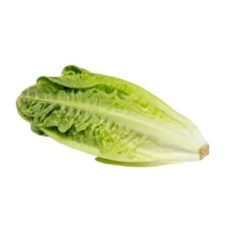 Compra LECHUGA ADIMAR Pildorada (10.000 Semillas) en la tienda online Fito Agrícola