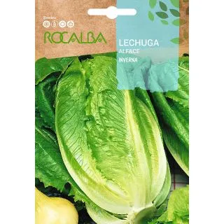 Compra LECHUGA INVERNA (6 gr.). en la tienda online Fito Agrícola