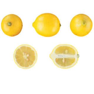 Compra LIMONERO FINO 95 - 17 en la tienda online Fito Agrícola