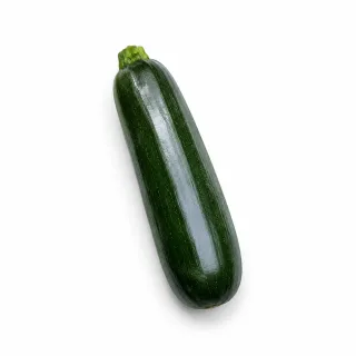 Compra CALABACÍN MÍTICA F-1 (1.000 Semillas) en la tienda online Fito Agrícola